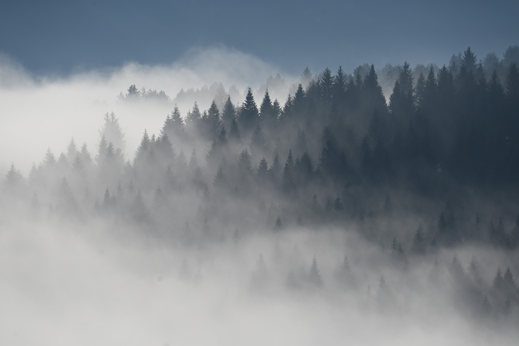 U sjevernim, centralnim i istočnim područjima Bosne magla, u ostatku zemlje sunčano