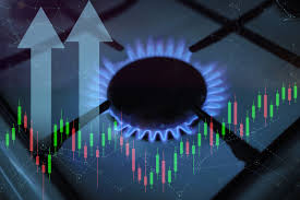 Bosna i Hercegovina pred energetskim izazovom: Rast cijene prirodnog plina