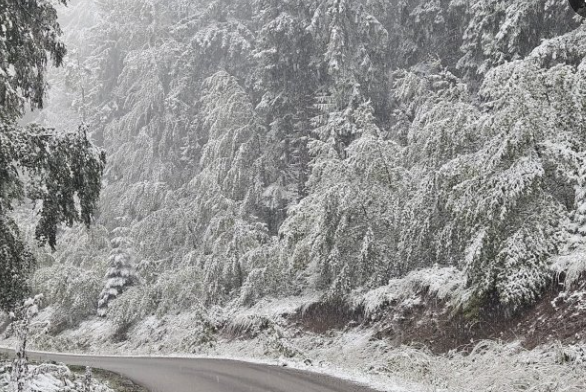 Ne žurite s promjenom guma: proljeće na kalendaru ne znači i sigurnu vožnju