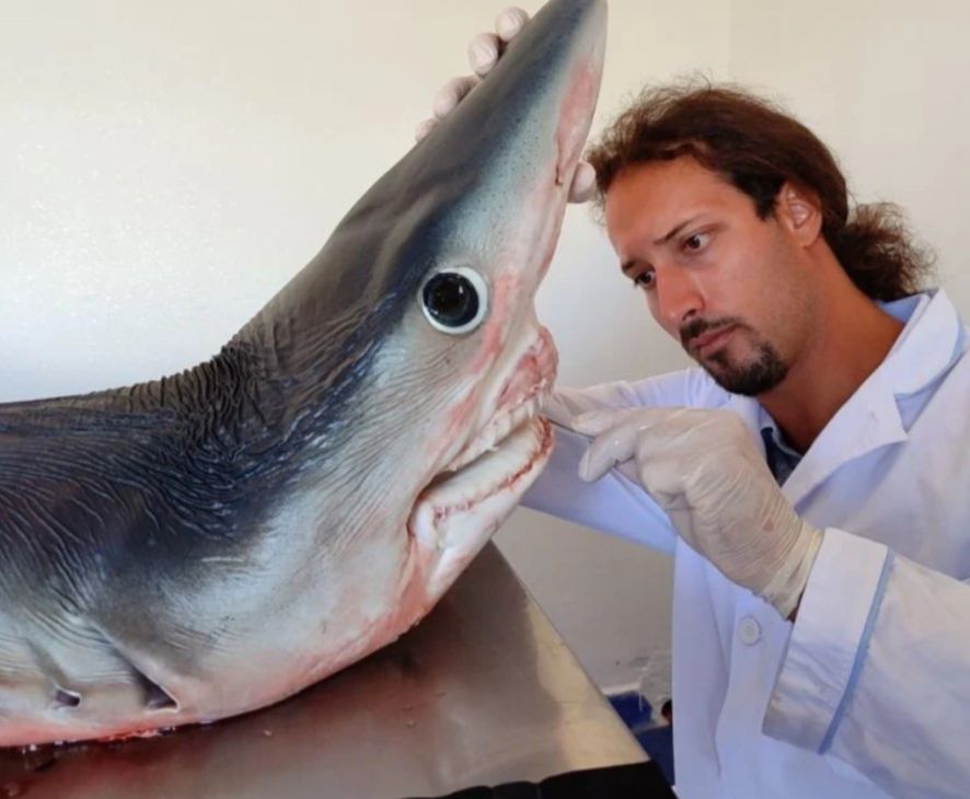 Naučnik Andrej Gajić: Život u službi zaštite ugroženih vrsta