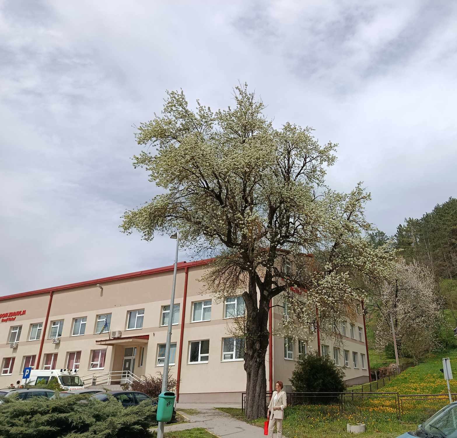 Ljekarski pregledi djece za upis u školu – spisak