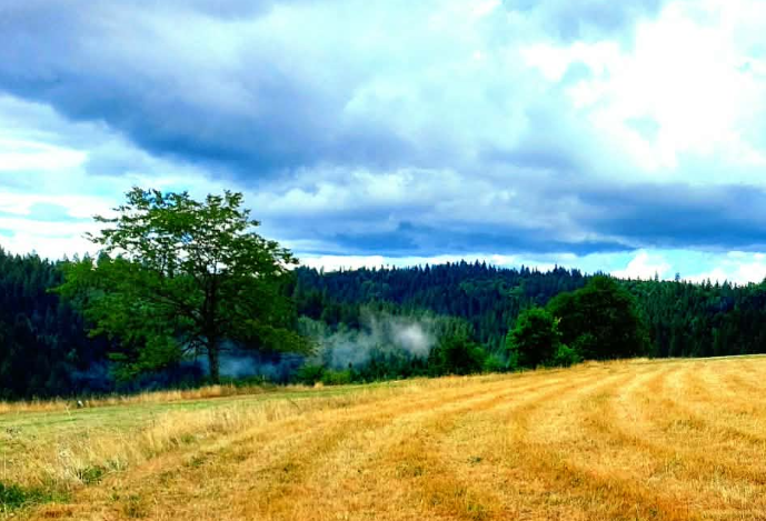 MUP SBK : Upozorenje građanima o paljenju vatre i požarima