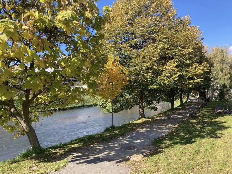 Danas sunčano i toplo, temperatura zraka do 23 stepena