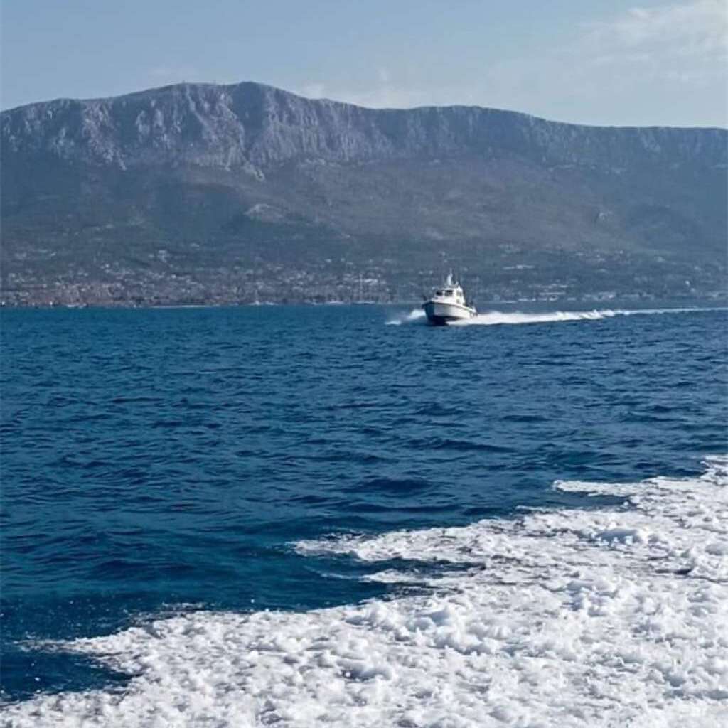 More u Istri puno meduza, stručnjaci upozoravaju kupače na oprez