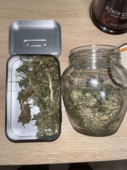 MUP SBK: U stanu pronađen 100 g kanabisa