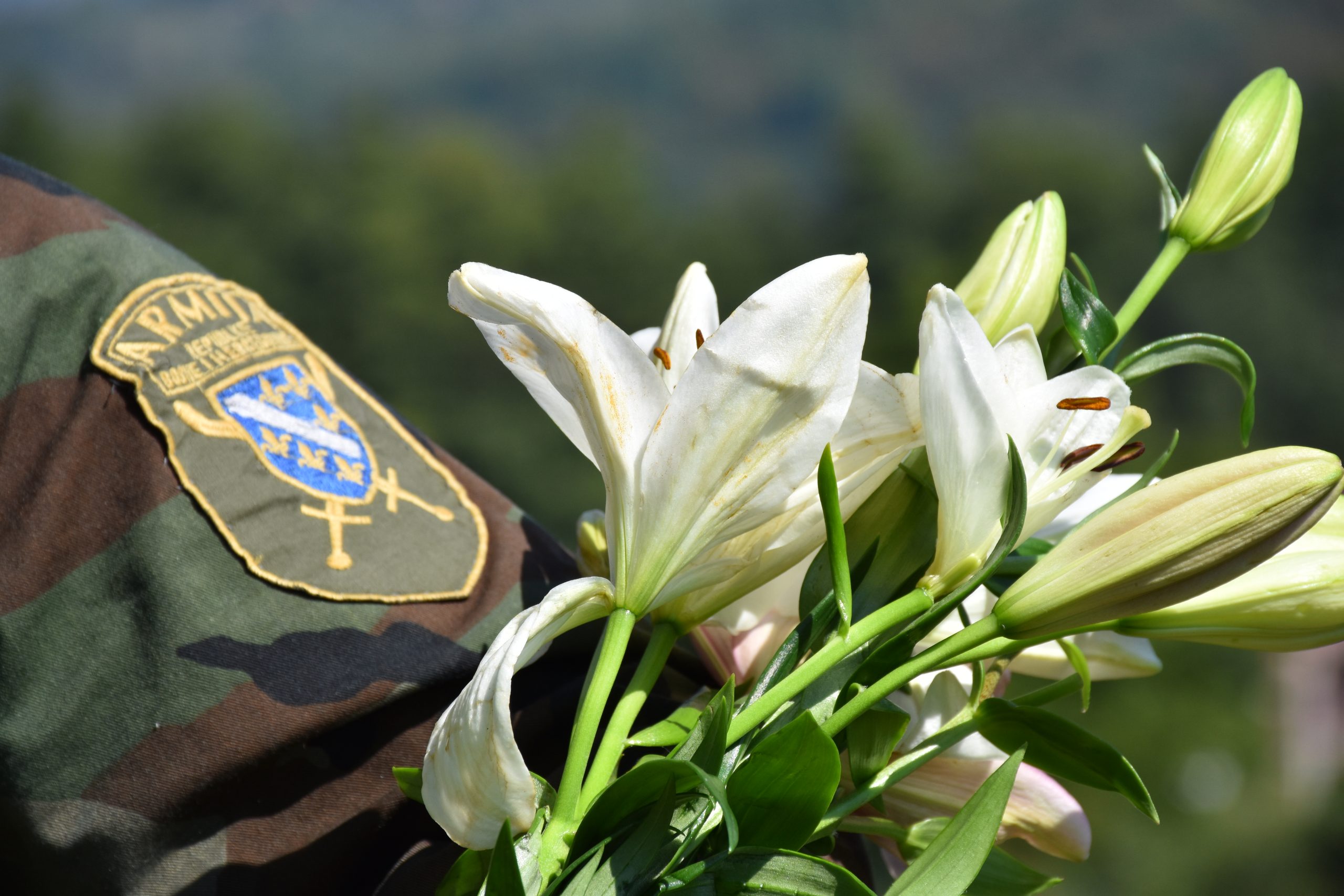 ⚜️🇧🇦 Sretan Dan 770. slavne bradske brigade – Vaša JU Centar za kulturu, informisanje i sport Donji Vakuf⚜️🇧🇦